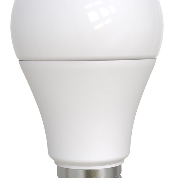 BULB 987-260